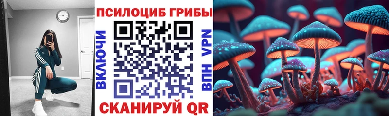 Галлюциногенные грибы Psilocybine cubensis  где купить наркоту  Черноголовка 